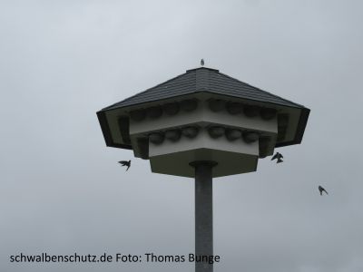 Schwalbenhaus Modell 42