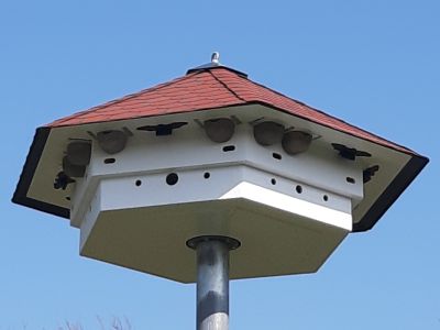 Artenschutzhaus zweistöckig